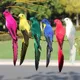 25cm Handmade Foam Feather Artificial Parrot Imitation Bird Model Figurine Foam Birds Parrot Home