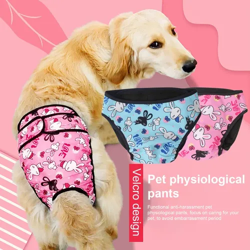 Große Hunde windel hygienische physio logische Hosen wasch bare weibliche Hund Unterwäsche Haustiere