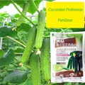 Cucumber Profession Fertilizer Special for Loofah Momordica Gourd Cantaloupe Garden Plant Food