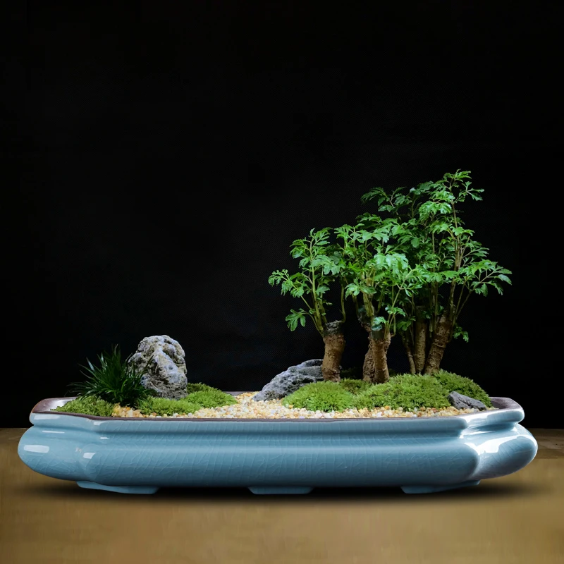 Chinesischer lila Sand Keramik-Blumentopf, Desktop-Blumentopf mit großem Durchmesser, glasierter Blumentopf, klassische saftige Landschaft, Bonsai-Blumentopf Image