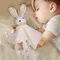 Montessori Kuschelig Für Babys Tröster Spielzeug Hase Spielzeug Plüsch Plüsch Spielzeug Schlafen Spielzeug Beschwichtigen Handtuch Baby Spielzeug 0-12 Monate