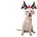 Christmas Dog Elk Reindeer Antler Headband Santa Hat Cap Pet Xmas Costume Headwear Adjustable Accessories for Cat and Puppy Small Dog