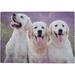 1000 PCS Jigsaw Puzzles 29.5 x 19.7 Artwork Gift for Adults Teens Retriever Dog On Lavender Field Wooden Puzzle Games