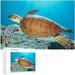 Coolnut Wooden Jigsaw Puzzles 1000 Pieces Beautiful Sea Turtle Swimming in The Sea Educational Intellectual Puzzle Games for Adults Kids 29.5 x 19.7