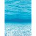 Pacon Corporation Fadeless Bulletin Board Art Paper in Blue | 49 H x 3.5 W x 3.5 D in | Wayfair PAC56528