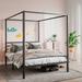 Latitude Run® Hummna Canopy Bed Metal in Black | 71.9 H x 54.3 W x 78.3 D in | Wayfair 860996D35CC64C38BF5035699696B0BA