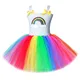 Regenbogen Tutu Kleid Mädchen Kinder Prinzessin Kleider für Kleine Mädchen Weihnachten Kleid für