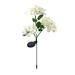 TERGAYEE Outdoor Solar Garden Flower Lights Realistic Hydrangea Flower Lights Waterproof LED Solar Lights Outdoor for Yard Garden Lawn Pathway Decoration