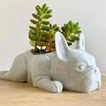 Jienlioq Resin Dog Succulent Planter Mini Puppy Plant Planter French Shape Cute Bonsai Flower Pots for Home Garden Office Desktop Decor (No Plants) White