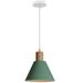 NUOLUX Pendant Light Ceiling Hanging Pendant Light Fixture Modern Living Room Lamp