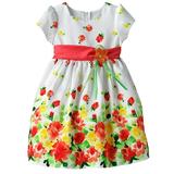 Bonnie Jean Toddler Girl Floral Formal Dress - 2T