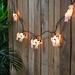 Northlight Seasonal Cow 10 Light String Lights in Green/White | 2.25 H x 102 W x 3.25 D in | Wayfair NORTHLIGHT HA95332