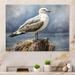 Highland Dunes Watchful Seagull I - Seagull Metal Wall Decor Metal in White | 16 H x 32 W x 1 D in | Wayfair 22DA3F1C5ED14A36A1ED6DFFC412D85F