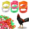 50/100PCS Adjustable Chichken Bird Leg Rings Numbered Identification Bands Poultry Foot Label Chicks
