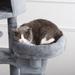 Cat Tree,Cat Tower for Indoor Cats, Plush Multi-Level Cat Condo with 3 Perches,2 Caves, Cozy Basket and Scratching Board