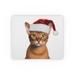 DistinctInk Mouse Pad - 1/4 Foam Rubber - Abyssinian Cat