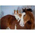 300 PCS Jigsaw Puzzles Artwork Gift for Adults Teens 10.6 x 15.5 Horse and Border Collie Dog Wooden Puzzle Games