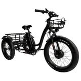 Fat Tire Electric Tricycle Trike 750W/1200W Power All-Terrain Ride