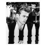James Dean Standing Behind Fence 20X24 Black And White Print By Globe Photos 20X24