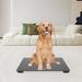 DENFER 25.6" W Digital Pet Scale in Black | 0.23 H x 25.6 W x 17.7 D in | Wayfair TL283