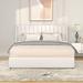 Latitude Run® Adris Storage Standard Bed Upholstered/Velvet, Metal in White | 39 H x 63.5 W x 84.4 D in | Wayfair 0BE016BDCC684D9F9EE4A5EB6DD95D7D