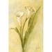 Winston Porter Graceful Calla Lilies I On Canvas by Cheri Blum Print Canvas in Yellow | 18 H x 12 W x 1.25 D in | Wayfair