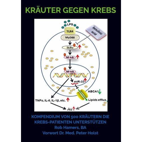 Kräuter gegen Krebs – Rob Hamers