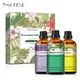 PHATOIL 3 stücke Ätherische Öle Set für Luftbefeuchter 30ml Lavendel Zitrone Pfefferminze