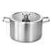 BergHOFF Graphite Recycled 18/10 Stainless Steel Stockpot 10", 6.3qt. With Glass Lid