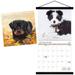 Trends International 2024 Puppies Wall Calendar & Magnetic Frame