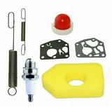 Lawn Mower Service Kit for Briggs and Stratton Classic and Sprint Engine F4Y8