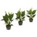 Silk Plant Nearly Natural 11 Spathyfillum w/Cement Planter (Set of 3)