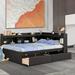 Red Barrel Studio® Charels Storage Bed Wood in Brown | 36.73 H x 65.63 W x 85.23 D in | Wayfair C14EAD4CFB434F88A9E0F7C69F354ED3