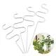 Iron Plant Support Frame Plant Trellis Climbing Support Stands Flower Pot Pole Vine Creepers Tutor