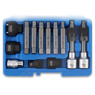 Bgs Lichtmaschinen Bit-Einsatz-Satz 13-tlg. [Hersteller-Nr. 4246] Image