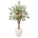 Silk Plant Nearly Natural 53 Olive Artificial Tree in White Planter