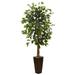 Silk Plant Nearly Natural 5.5 Ficus Tree w/Bamboo Planter