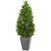 Silk Plant Nearly Natural 57 Bay Leaf Cone Topiary Tree in Slate Planter UV Resistant (Indoor/Outdoor)