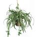 Silk Plant Nearly Natural Spider Hanging Basket Silk Plant