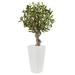 Silk Plant Nearly Natural 3.5 Olive Tree in White Tower Planter