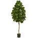 Silk Plant Nearly Natural 6 Ft Fiddle Leaf Fig Green Artificial Tree