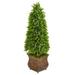 Silk Plant Nearly Natural 41 Eucalyptus Cone Topiary Artificial Tree in Metal Planter (Indoor/Outdoor)