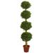 Silk Plant Nearly Natural 6 Four Tier Boxwood Artificial Topiary Tree UV Resistant (Indoor/Outdoor)