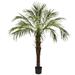 Silk Plant Nearly Natural 6 Robellini Palm Tree