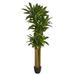 Silk Plant Nearly Natural 6 Corn Stalk Dracaena Artificial Plant (Real Touch)