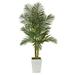 Silk Plant Nearly Natural 5.5 Golden Cane Artificial Palm Tree in White Metal Planter