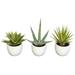 Silk Plant Nearly Natural Southwest Collection (Set of 3)