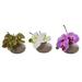 Silk Plant Nearly Natural 7 Phalaenopsis Orchid Artificial Arrangement (Set of 3)