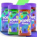 POPPZ Popping Boba Pearls for Bubble Tea - Fruit Juice Filled Bubble Tea Pearls for Bubble Tea (Green apple, Peach, Blueberry, Cherry, Pack of 4)