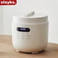 Olayks Autocuiseur Électrique 5L Revêtement Antiadhésif 70KPa Multi Cuiseur À Riz Pour 5-6